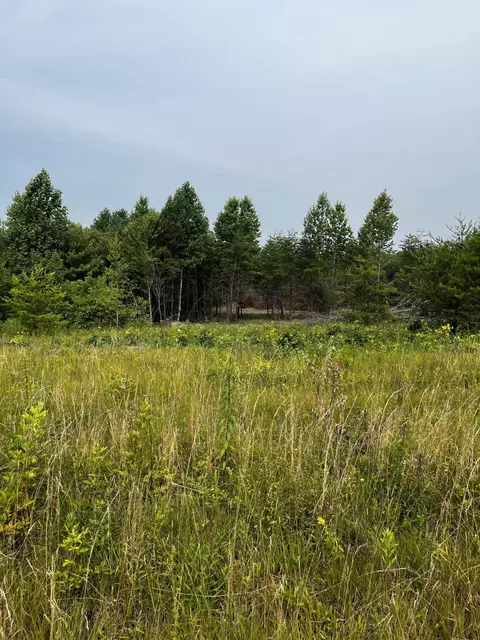 0 Tower Rd #6, Grandview, TN 37337