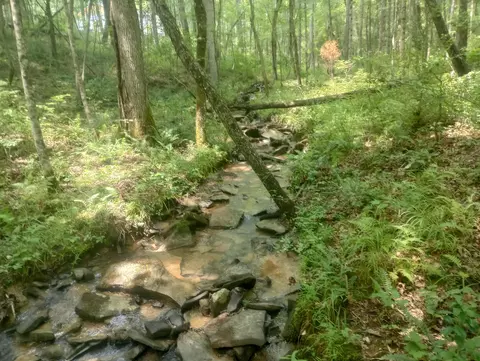 1 Dogwood Dr #1-2, Pikeville, TN 37367