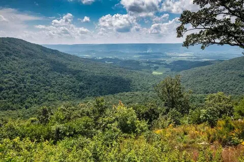 184 Overlook Ln, Pikeville, TN 37367