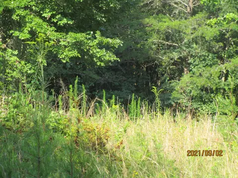 105 Ski View Dr, Dunlap, TN 37327