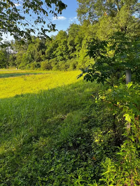 00 Webb Cemetary Rd, Evensville, TN 37332