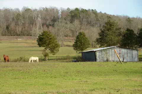 11514 Birchwood Pike, Harrison, TN 37341
