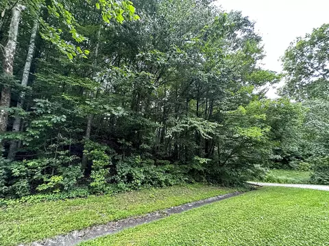 0 Moores Gap Rd, Heiskell, TN 37754 photo 25