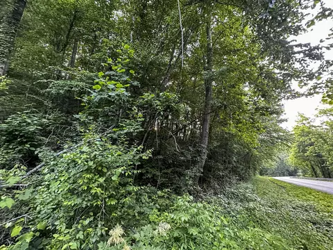 0 Moores Gap Rd, Heiskell, TN 37754 photo 12