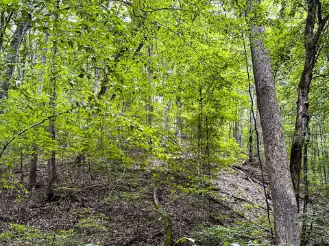 0 Moores Gap Rd, Heiskell, TN 37754 photo 18