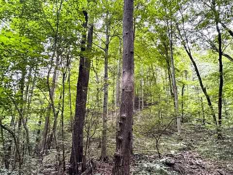 0 Moores Gap Rd, Heiskell, TN 37754 photo 19