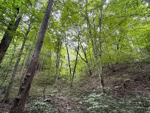 0 Moores Gap Rd, Heiskell, TN 37754 photo 16
