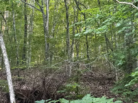 0 Moores Gap Rd, Heiskell, TN 37754 photo 6