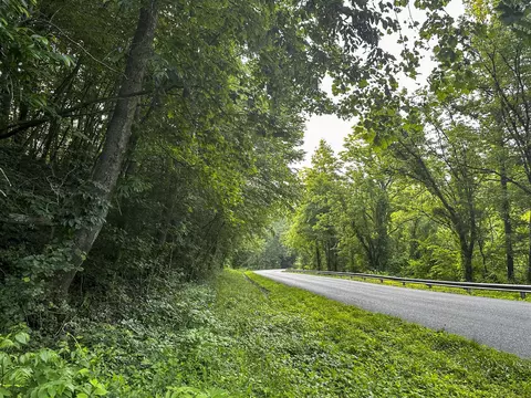 0 Moores Gap Rd, Heiskell, TN 37754 photo 11