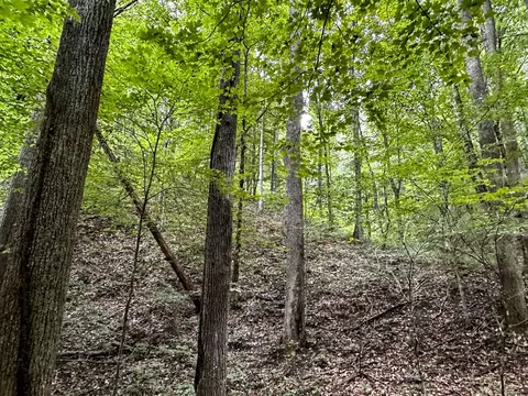 0 Moores Gap Rd, Heiskell, TN 37754 photo 20