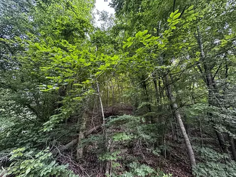 0 Moores Gap Rd, Heiskell, TN 37754 photo 5