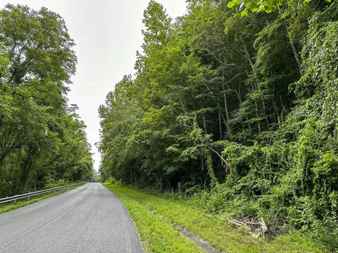 0 Moores Gap Rd, Heiskell, TN 37754 photo 23