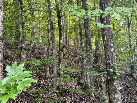 0 Moores Gap Rd, Heiskell, TN 37754 photo 7
