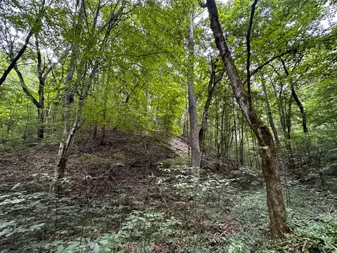 0 Moores Gap Rd, Heiskell, TN 37754 photo 17