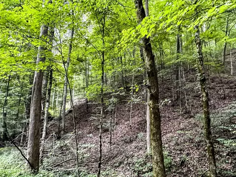0 Moores Gap Rd, Heiskell, TN 37754 photo 21