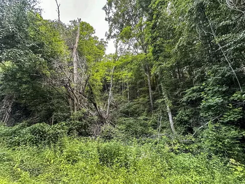 0 Moores Gap Rd, Heiskell, TN 37754 photo 10