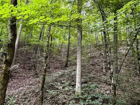 0 Moores Gap Rd, Heiskell, TN 37754 photo 22