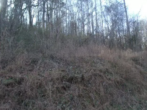 1185 Sweetens Cove Rd, South Pittsburg, TN 37380