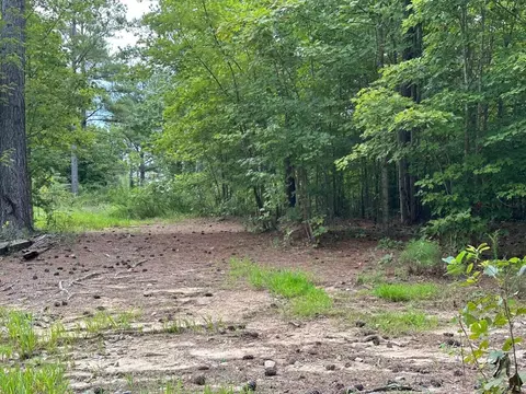 Tract 1 South Pittsburg Mtn Road #1, South Pittsburg, TN 37380
