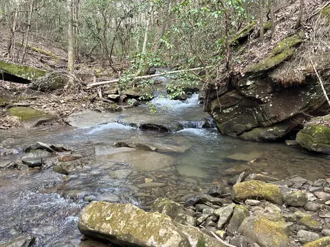 42 Kelly Creek Rd, Whitwell, TN 37397