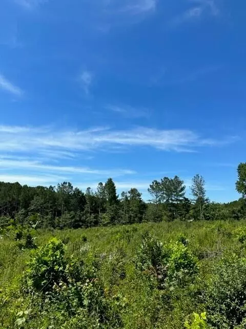 Tract 6 Dykes Hollow Road #6, Tracy City, TN 37387