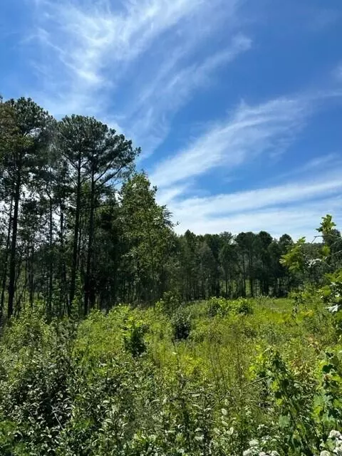 Tract 7 Dykes Hollow Road #7, Tracy City, TN 37387