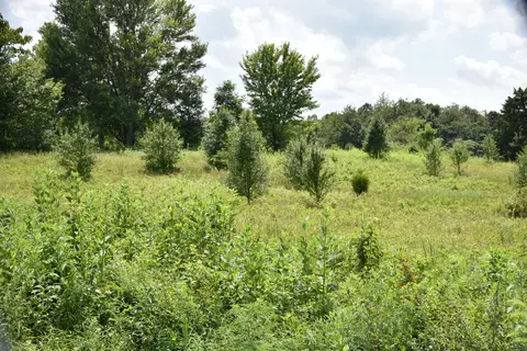 1505 New Home Rd, Trenton, GA 30752