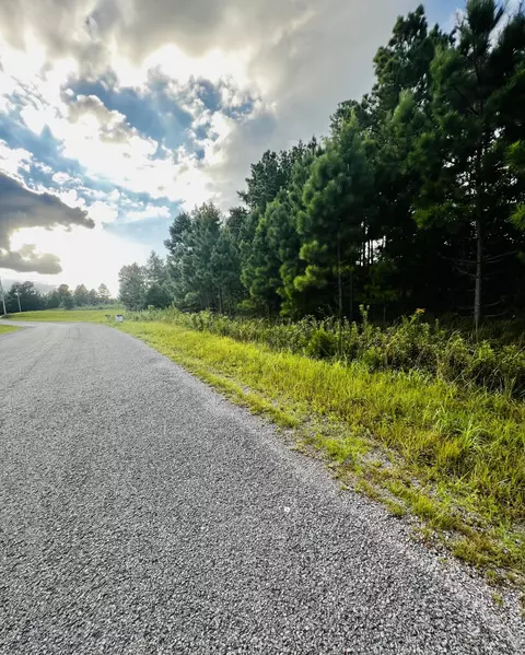 1750 Browns Trace Rd #3, South Pittsburg, TN 37380