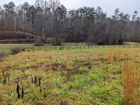 lot49 Morning Dunn Dr #49, Reliance, TN 37369