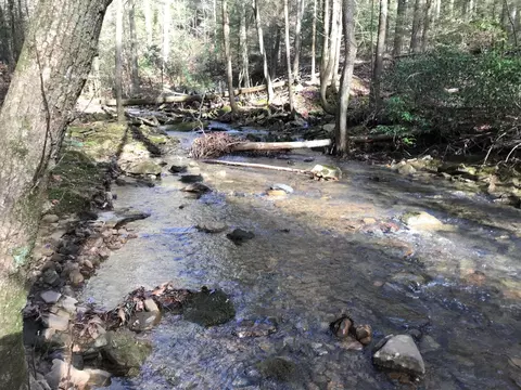 0 Wilderness Way #552, Dunlap, TN 37327