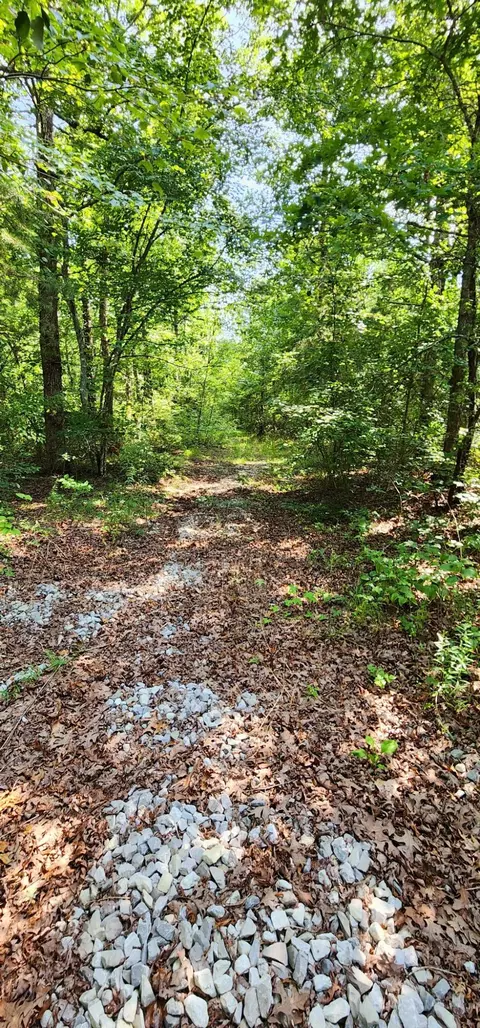 0 Hunters Trail Way #102, Altamont, TN 37301