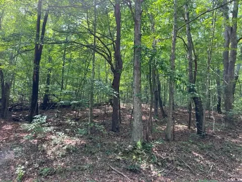 1522 Vulcan Rd, Rising Fawn, GA 30738