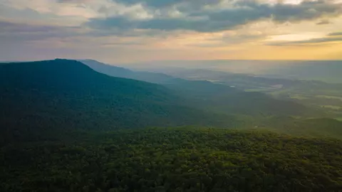 1256 Acres Hendon Fire-tower Rd, Graysville, TN 37338