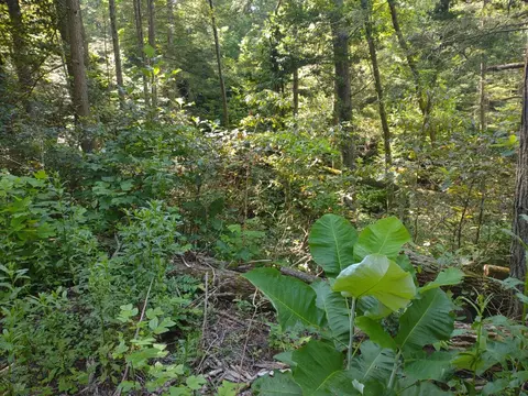 306 S And T Rd, Dunlap, TN 37327