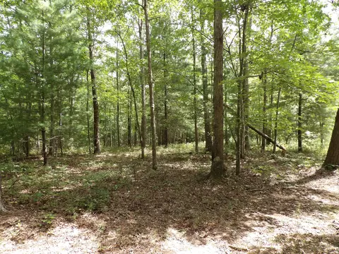 11 Lou Rd #109, Pikeville, TN 37367