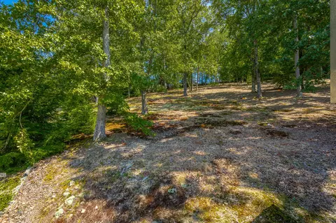 778 E Valley Rd, Jasper, TN 37347 photo 111