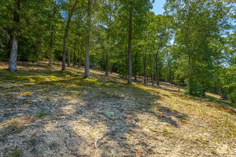 778 E Valley Rd, Jasper, TN 37347 photo 116