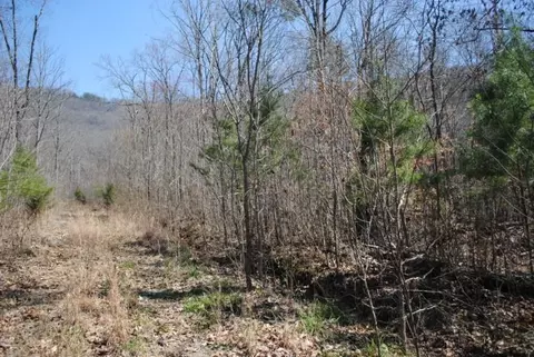 511 Newsome Gap Rd, Rising Fawn, GA 30738