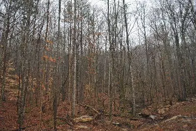 2401 Newsome Gap Rd, Rising Fawn, GA 30738