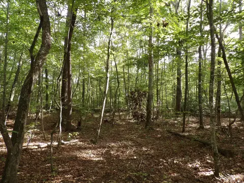 01 Creek Rd #20, Crossville, TN 38571