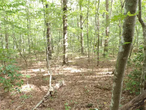 02 Creek Rd #19, Crossville, TN 38571