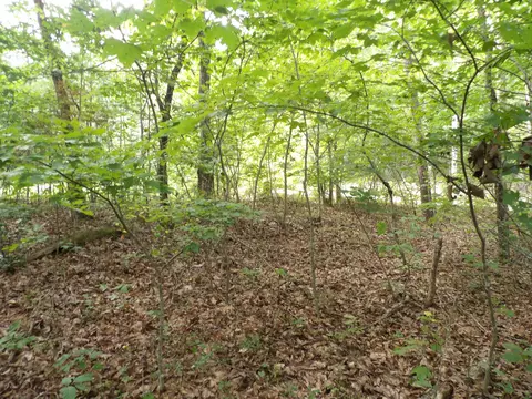 03 Creek Rd #18, Crossville, TN 38571