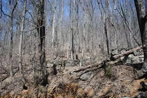 2403 Newsome Gap Rd, Rising Fawn, GA 30738