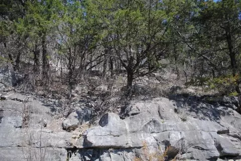 2212 Newsome Gap Rd, Rising Fawn, GA 30738