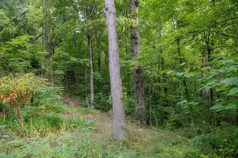 9019 E Brainerd Rd #LOT S 40 AND 41, Chattanooga, TN 37421