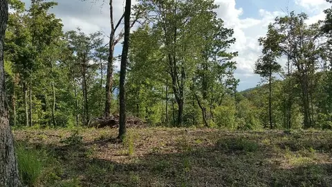 53 Bluff View Dr #53, Dunlap, TN 37327