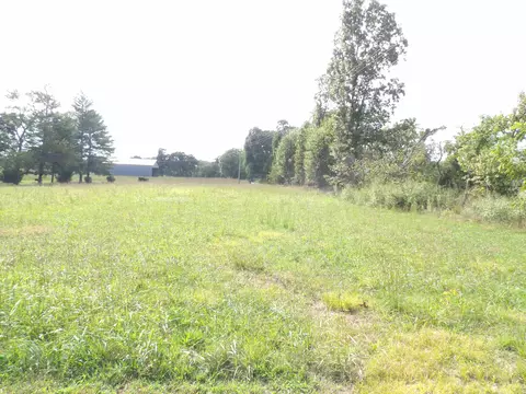 001 Panter Bottom Rd, Pikeville, TN 37367