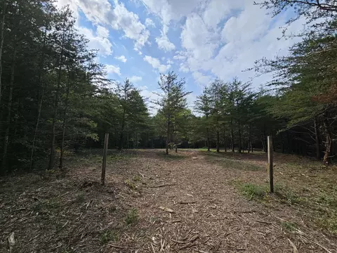 20 N Campbell North Rd, Altamont, TN 37301