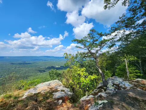 7182 Old State Rd, Menlo, GA 30731