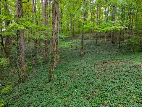 1440 Tenn Nursery Rd, Cleveland, TN 37311